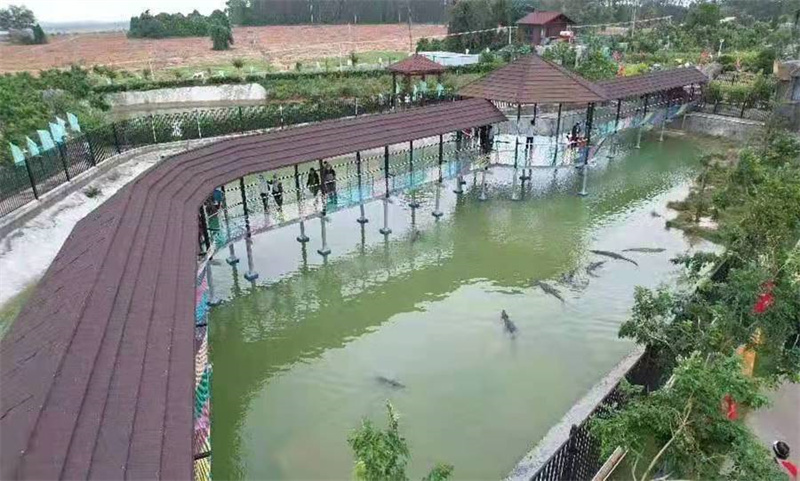 海南省東方市（shì）鱷珍鱷魚產業園玻璃棧道